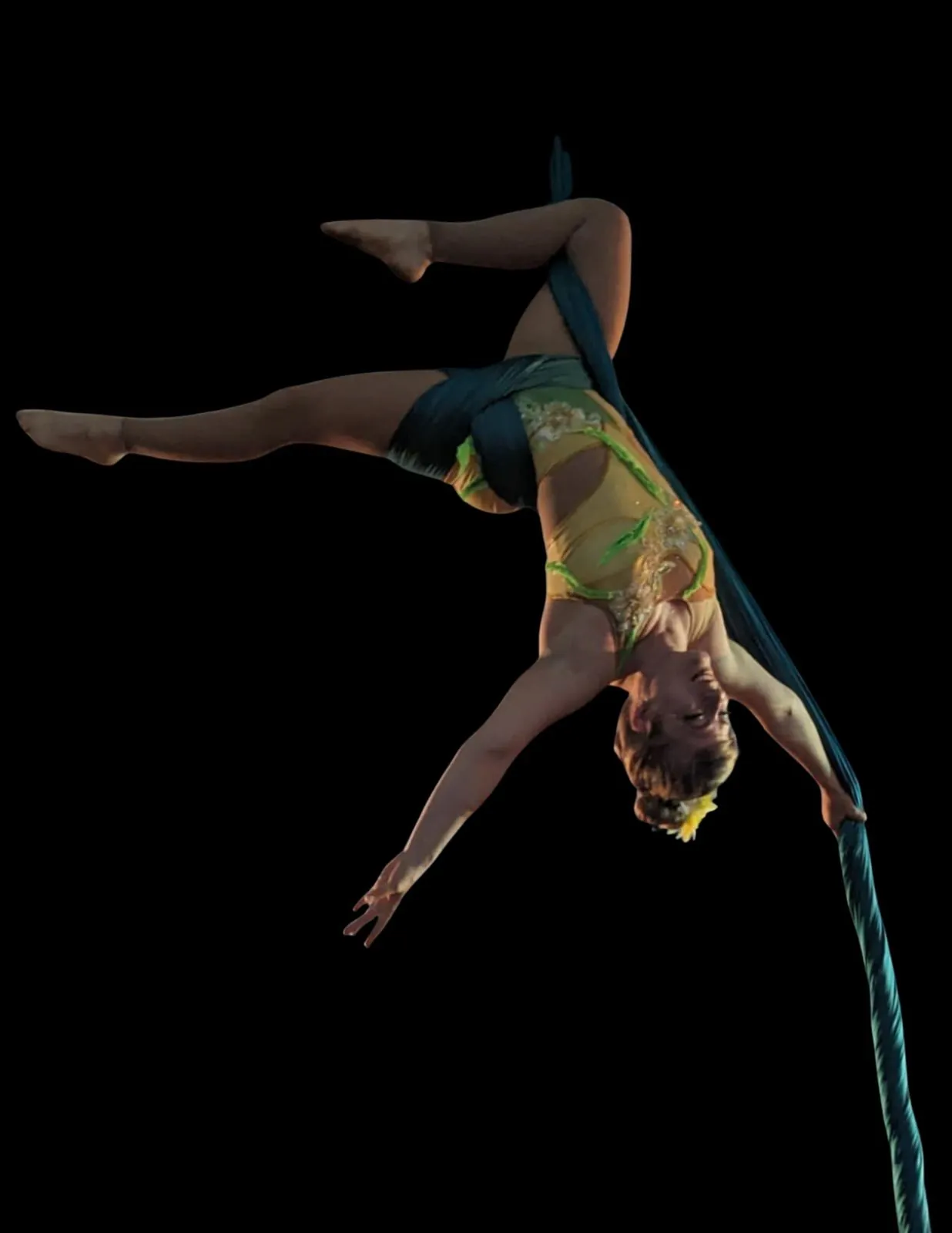Aerialist Toronto